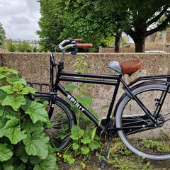 Mannenfiets, ako bolo nahlásené iLost