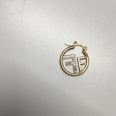 Náušnice, jak nahlášeno Gemeente Haarlem pomocí iLost