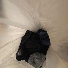 Underwear SOCKS, BOXERS, as reported by Room Mate Bruno using iLost