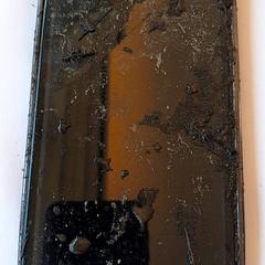 Mobiele telefoon, rapporterat av DierenPark Amersfoort med iLost