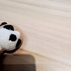 Knuffel, zgłoszono przez Beekse Bergen Resorts en Hotel przy użyciu iLost