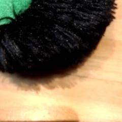 Knuffel がiLostで Beekse Bergen Resorts en Hotel によって報告されました