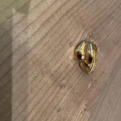 Ring, as reported by Pathé Arnhem using iLost