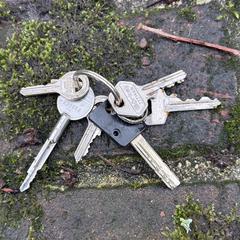 Sleutelbos, amint azt az iLostnak jelentették.