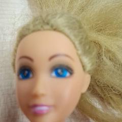 Ninots, segons ha informat IKEA Rouen Tourville-La-Rivière mitjançant iLost