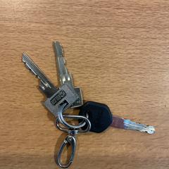 Chaves, segundo informou Gemeente Amsterdam usando iLost