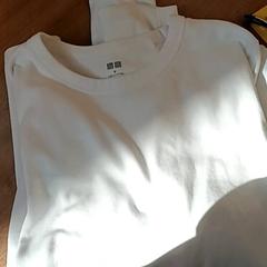 Longsleeve, segundo informou BOAT&CO usando iLost