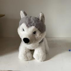 Peluche wolf, ha sido reportado por Artis con iLost