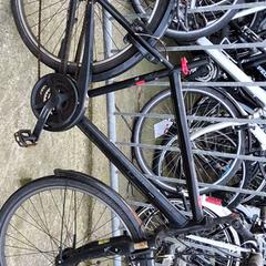 Men’s bike solero, as reported by Stadswerk072 using iLost