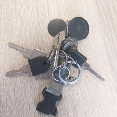 Sleutel & Sleutels, zoals gemeld door EBS OV Poeldijk met iLost