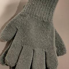 Hanske, som rapportert av Bibliotheek Neude (Utrecht) ved bruk av iLost