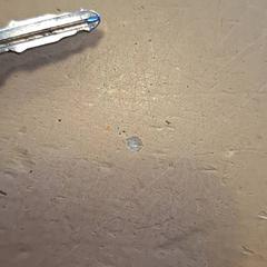 Chave do coche, segundo informou Avonturenboerderij Molenwaard usando iLost