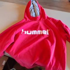 Sweater Rode hummel trui, as reported by Familiepark Drievliet using iLost