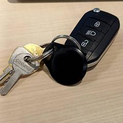 Car key, as reported by IKEA Toulouse using iLost