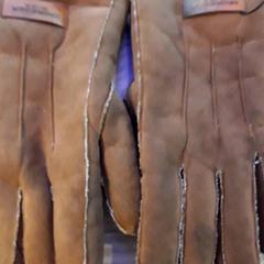 Hansker, som rapportert av EBS Tramplein ved bruk av iLost