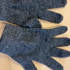 Rękawica, zgłoszono przez Familie Resort Molenwaard przy użyciu iLost