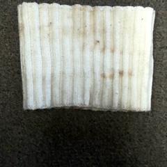 Snood Wit, zgłoszono przez Burgers' Zoo przy użyciu iLost