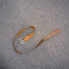 Belt, as reported by SnowWorld Landgraaf using iLost