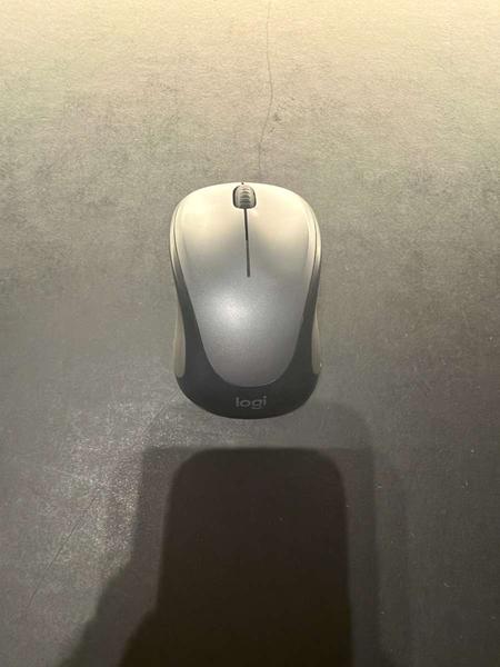 Mouse