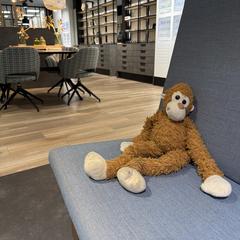 Knuffel aap, iLost에 보고됨