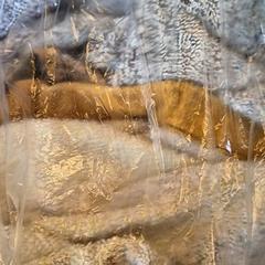 Costumi da bagno, come riportato da Attractie- & Vakantiepark Slagharen utilizzando iLost