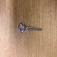 Gakoa, gisa salatu by Canisius-Wilhelmina Ziekenhuis iLost erabiliz