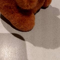 Peluche, ha sido reportado por De Efteling con iLost