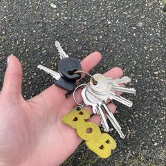 Sleutelbos, iLost에 보고됨