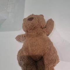 Medvídek mazlivý bruin, jak nahlášeno IKEA Wilrijk pomocí iLost