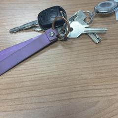 Keys, as reported by Connexxion Amstelland-Meerlanden Schiphol Noord using iLost