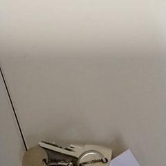 Llaves, ha sido reportado por Regio Antwerpen - Brussel con iLost