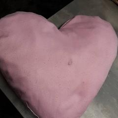 Kopfkissen Roze, gemeldet von Arriva Friesland / Groningen über iLost