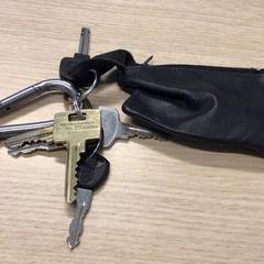 Estoig de claus amb claus, segons ha informat Gemeente Arnhem mitjançant iLost