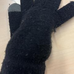 Handschoenen, zoals gemeld door Pathé Schouwburgplein met iLost