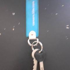 Clau, segons ha informat Qbuzz servicepunt  Emmen mitjançant iLost