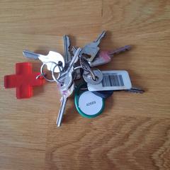 Sleutelbos, jak bylo nahlášeno na iLost