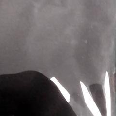 Táska Zwart, amint azt Arriva Friesland / Groningen az iLost segítségével jelentette.