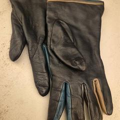 قفاز Zwart en leer، كما تم الإبلاغ عنه بواسطة Mauritshuis Den Haag عبر iLost