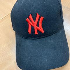 Pet がiLostで Pathé Eindhoven によって報告されました