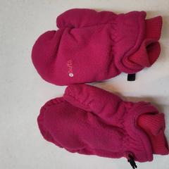 Rukavice roze, jak nahlášeno Rijksmuseum van Oudheden pomocí iLost