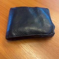 Carteira, segundo informou Blauwnet Zwolle usando iLost