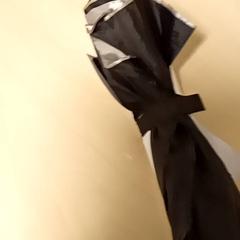 Paraigües black/slver, segons ha informat Mövenpick Hotel Amsterdam City Centre mitjançant iLost