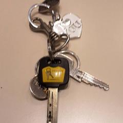 Kulcstartó, amint azt LUMC az iLost segítségével jelentette.