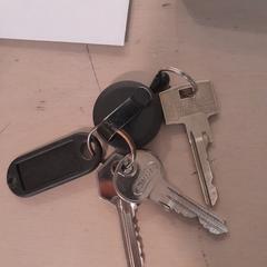 Sleutels، كما تم الإبلاغ عنه بواسطة Hortus Botanicus Amsterdam عبر iLost