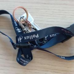 Cavo chiave, come riportato da Arriva West-Brabant utilizzando iLost