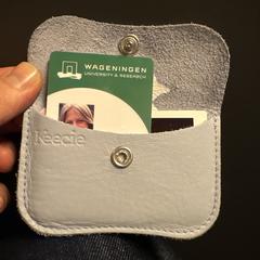 Grijze portemonnee (pasjeshouder), as reported to iLost