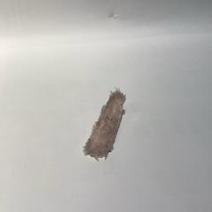 Hajtű, amint azt IKEA横浜 az iLost segítségével jelentette.