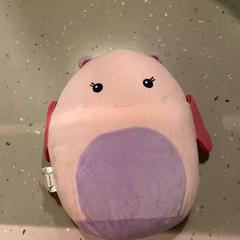 방석 PINK, iLost를 사용하여 Room Mate Bruno에 보고됨