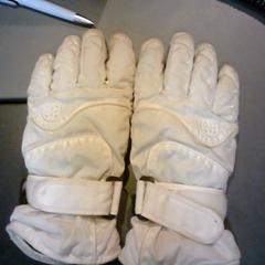 Gloves, as reported by SnowWorld Landgraaf using iLost