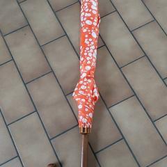 Ombrello, come riportato da Regio Oost-Vlaanderen utilizzando iLost